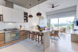 VRNV001 P.Novo 505B